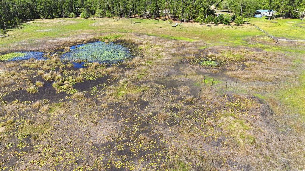 Tbd Holly Branch Road Eustis, FL 32736 - Photo 9 of 13