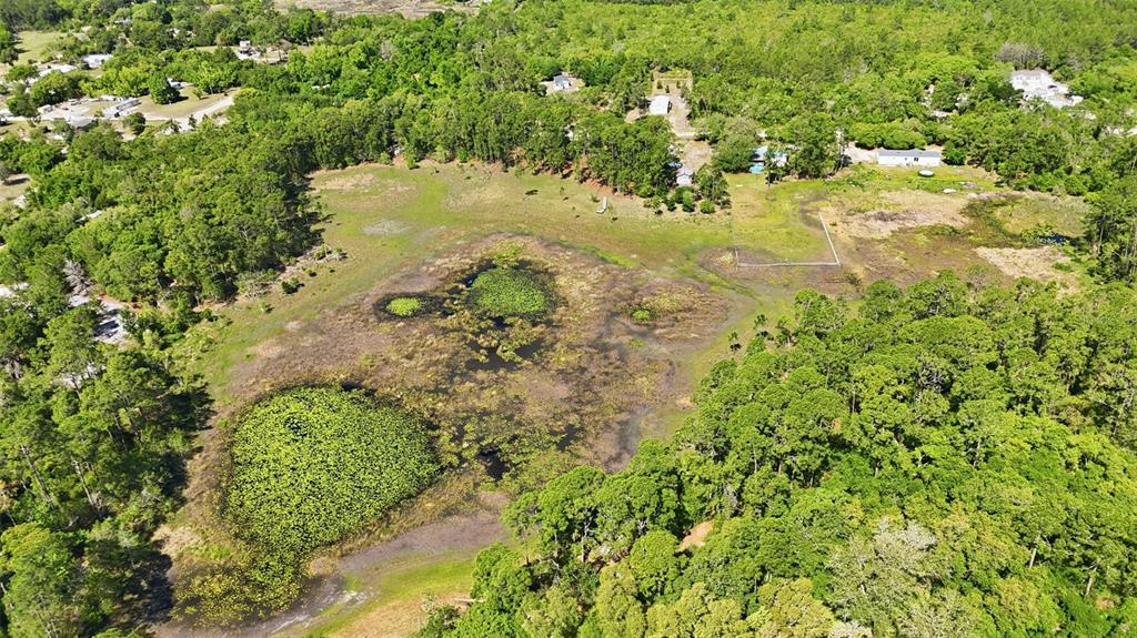 Tbd Holly Branch Road Eustis, FL 32736 - Photo 10 of 13