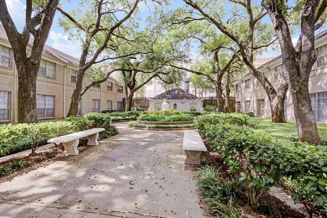 a view of a yard with plants and trees