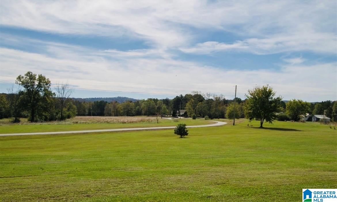 205 Hazel Ranch Road Alpine, AL 35014 - Photo 31 of 32