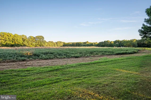 $8,250,000 | 24390 Deep Neck Farm Lane, Royal Oak, MD 21662