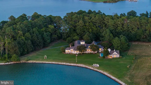 a view of swimming pool with lawn chairs and large trees