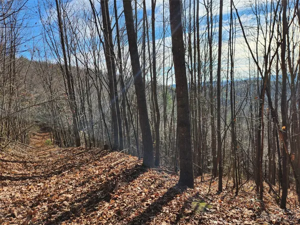 $379,000 | 6900 Mertie Road, Millers Creek, NC 28651