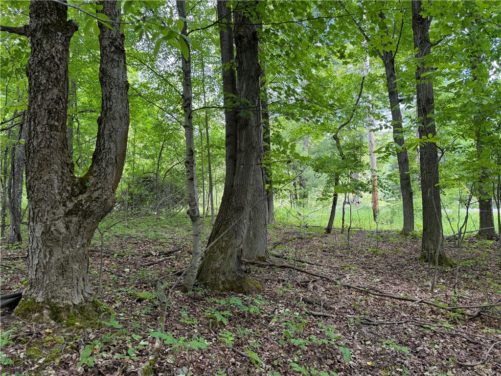 Vl Reed Road Dansville, NY 14437 - Photo 25 of 29