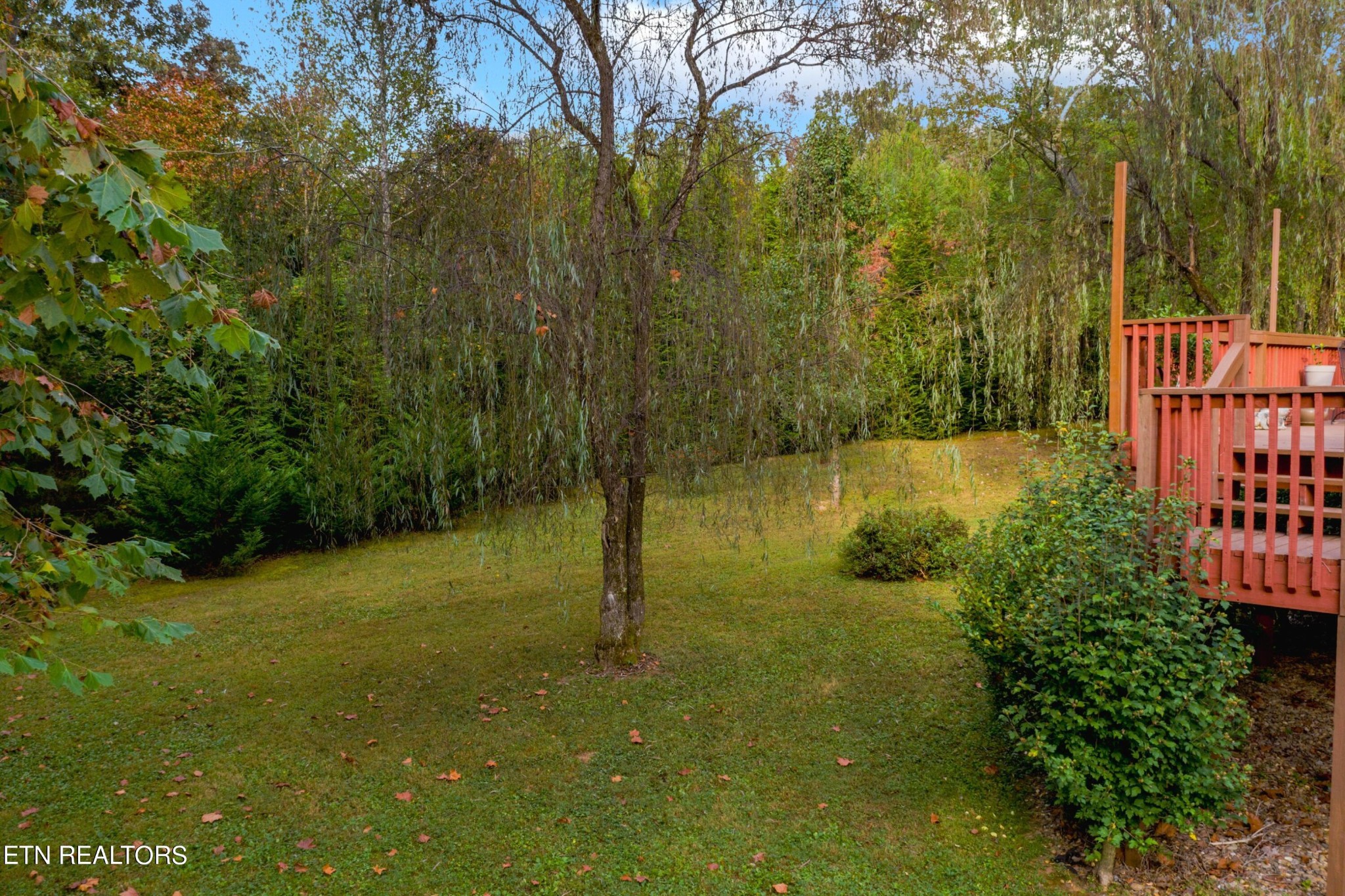 1317 Wendover Road Knoxville, TN 37932 - Photo 11 of 48