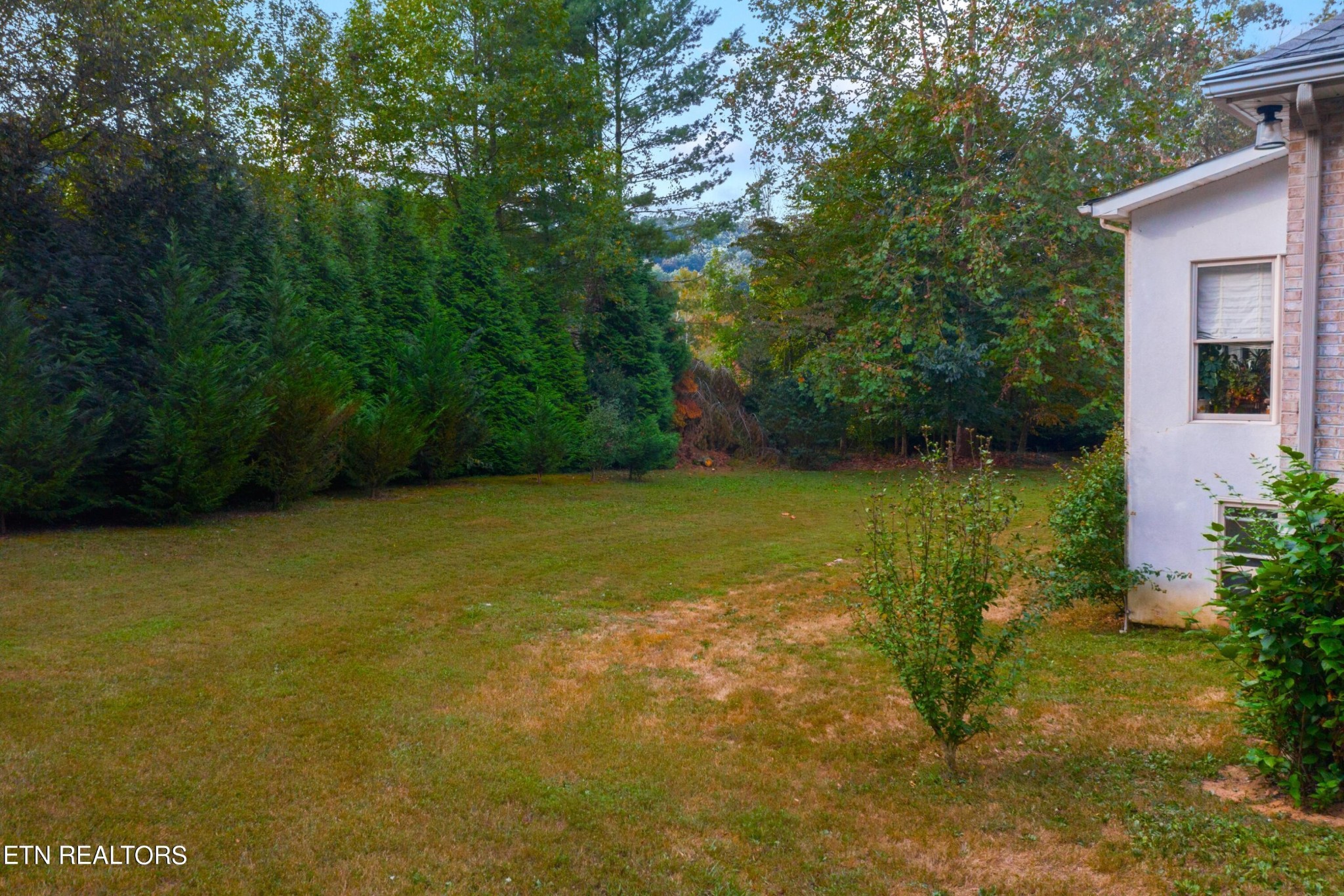 1317 Wendover Road Knoxville, TN 37932 - Photo 12 of 48