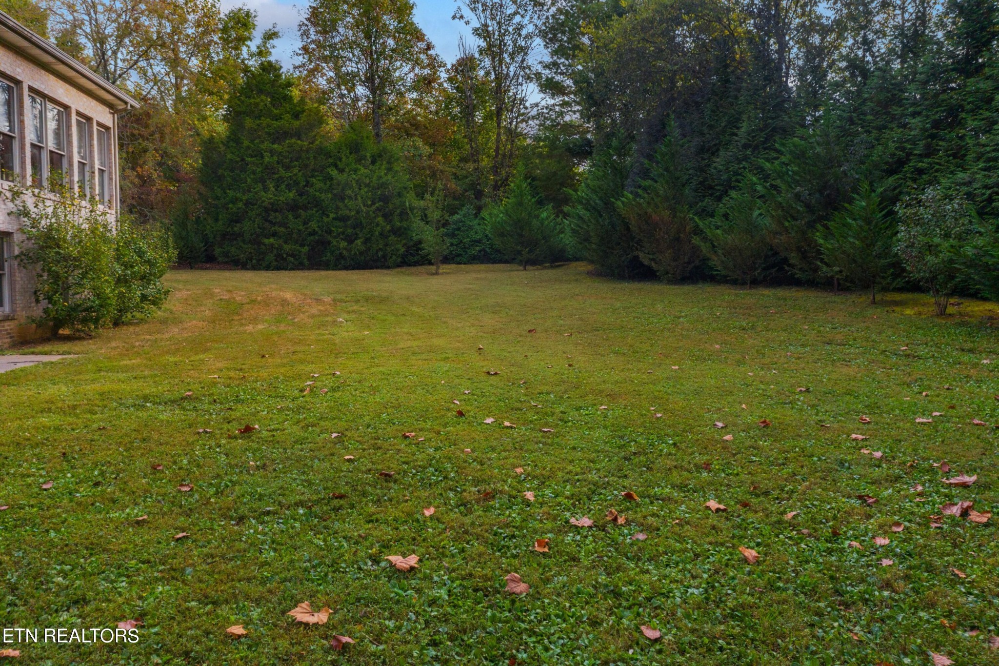 1317 Wendover Road Knoxville, TN 37932 - Photo 13 of 48