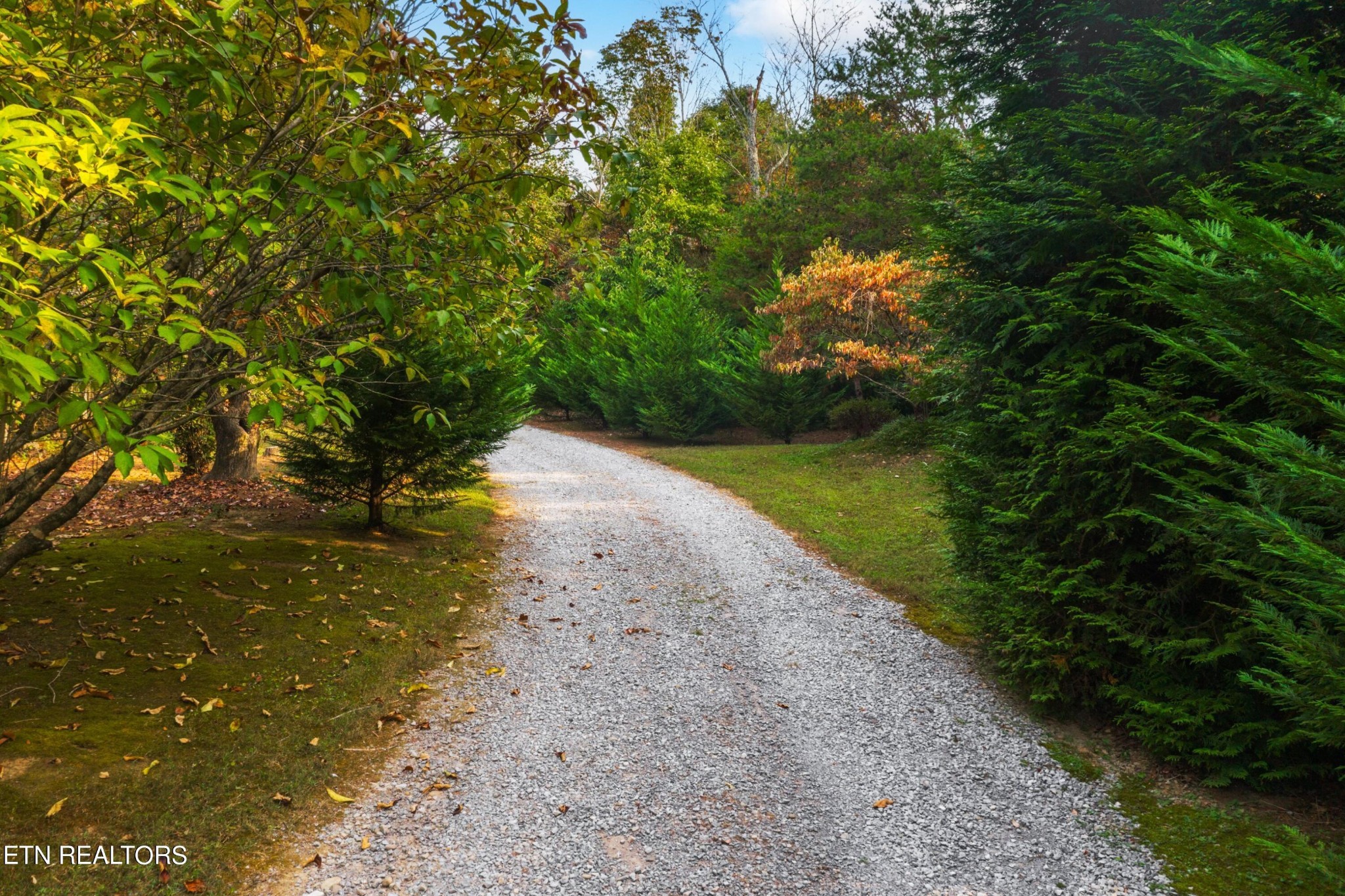 1317 Wendover Road Knoxville, TN 37932 - Photo 3 of 48