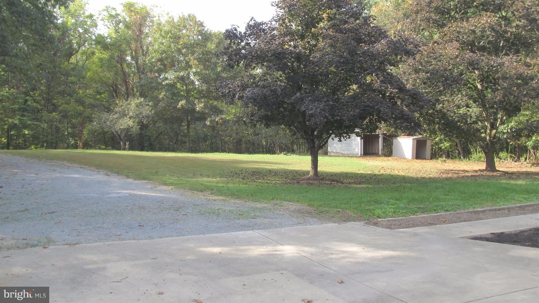 5679 Senseny Road Berryville, VA 22611 - Photo 3 of 30 Front yard and outbuildings.