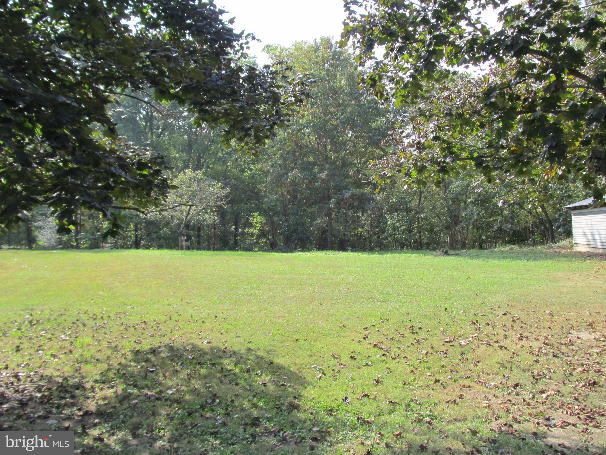 5679 Senseny Road Berryville, VA 22611 - Photo 28 of 30 Open, private yard.