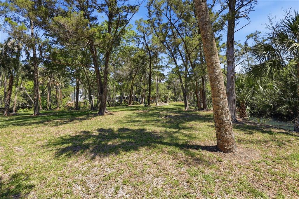 6248 Colony Circle Weeki Wachee, FL 34607 - Photo 9 of 20 a view of outdoor space with trees