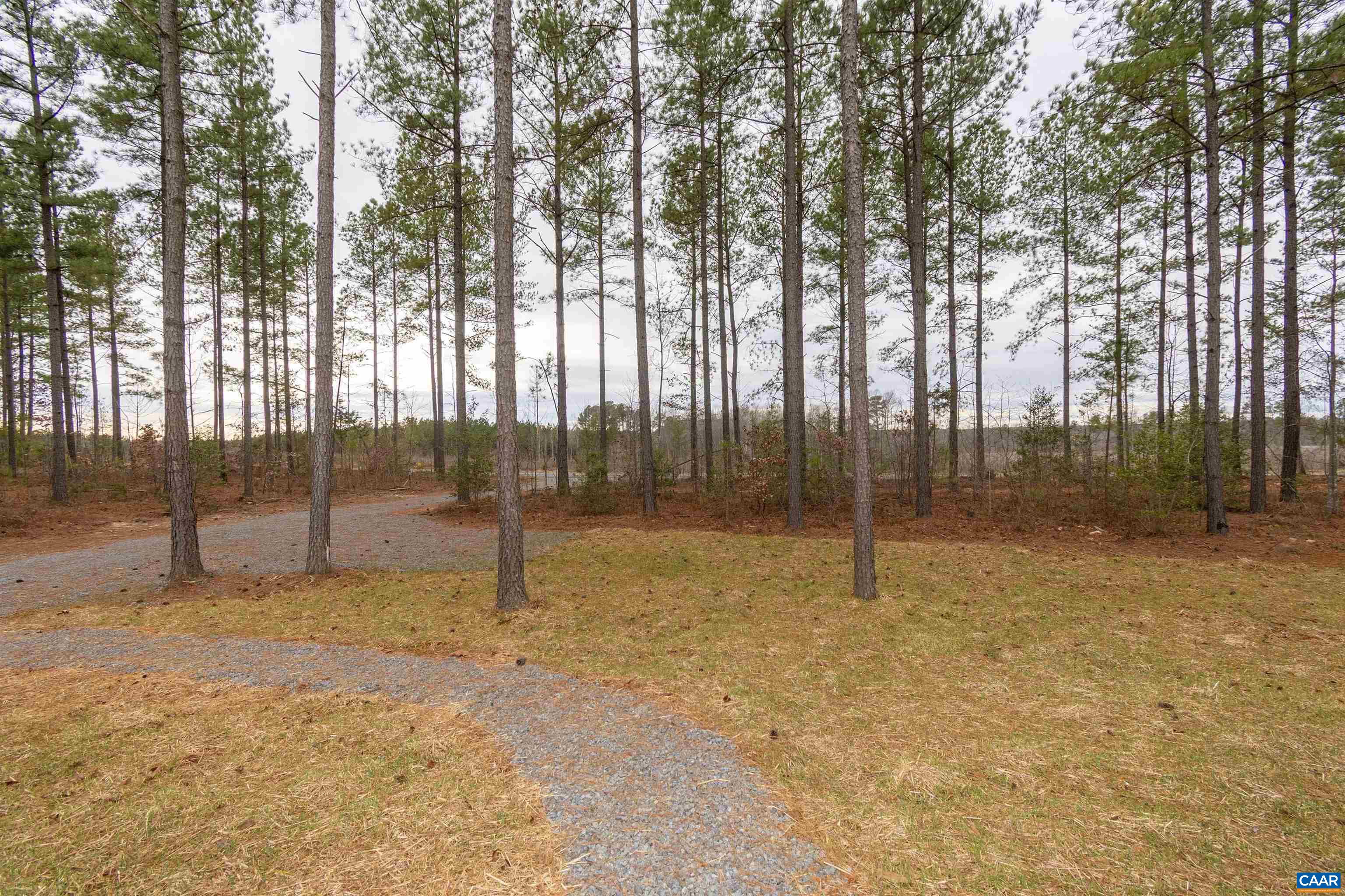 15301 Shirley Road Unionville, VA 22567 - Photo 21 of 27 a house with trees in front of it