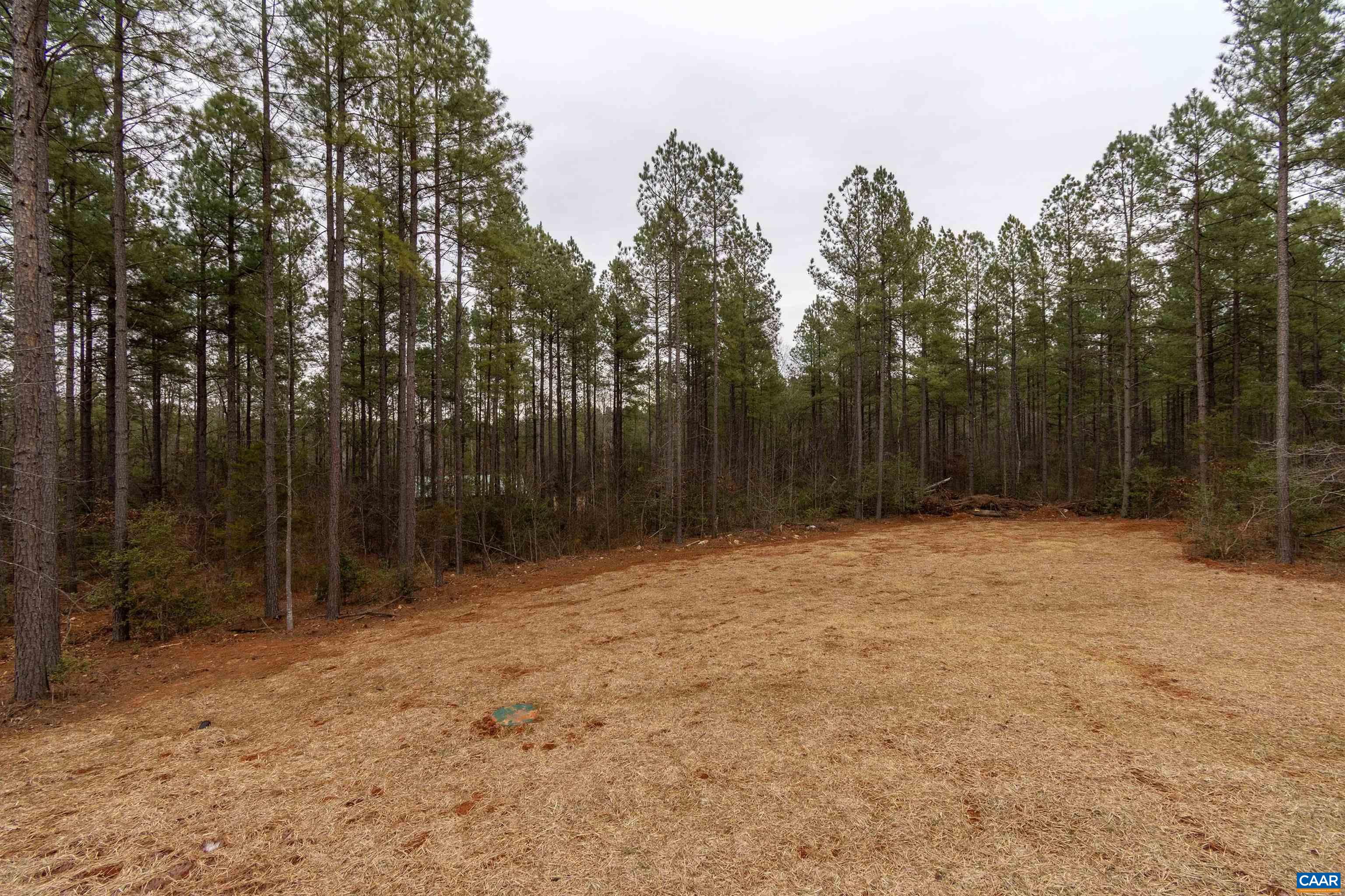 15301 Shirley Road Unionville, VA 22567 - Photo 26 of 27 a backyard of a house