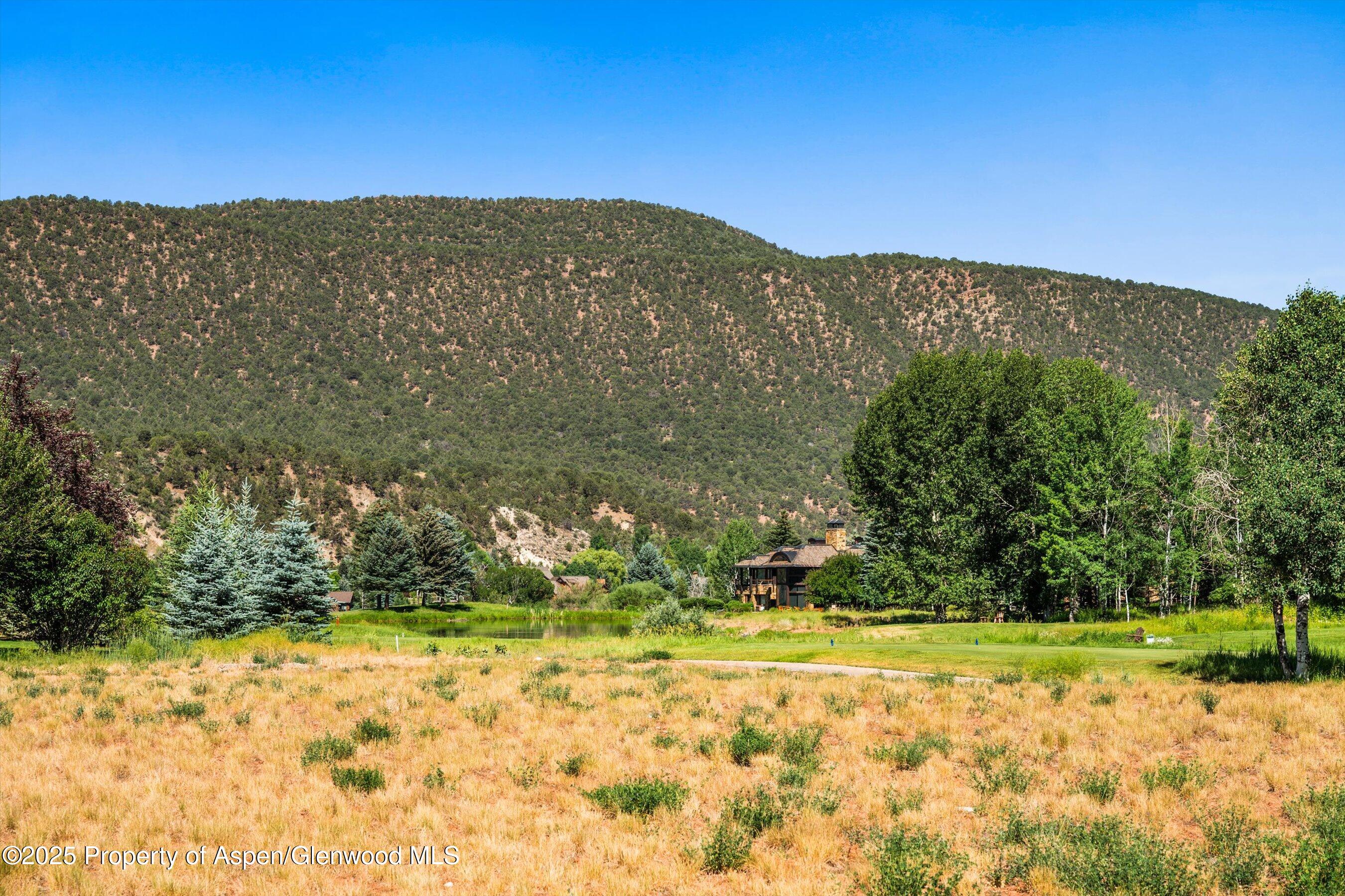 57 Diamond A Ranch Road Carbondale, CO 81623 - Photo 13 of 18 a view of a yard with an trees