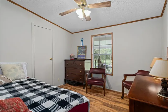 a view of green field