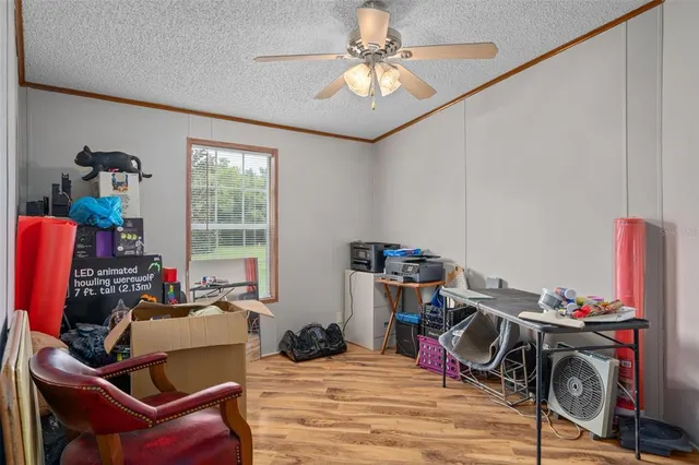 a big yard with lots of green space and trampoline