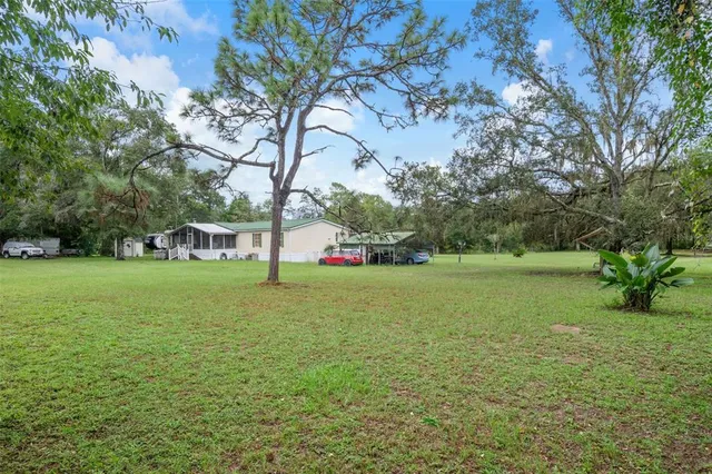 a view of a lush green space