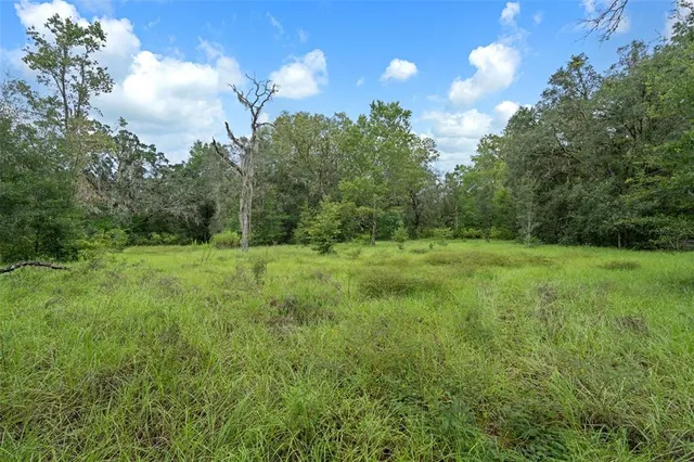 a view of a backyard