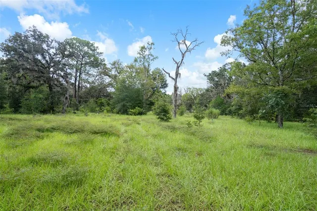 a backyard of a house with a yard and outdoor seating