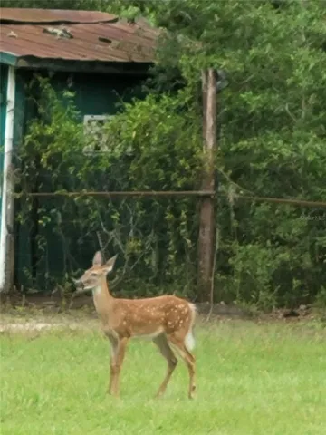 a backyard of a house with table and chairs