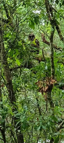 $450,000 | 27167 Popiel Road, Brooksville, FL 34602