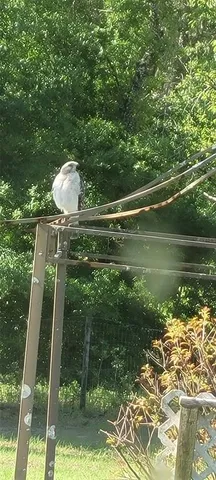 $450,000 | 27167 Popiel Road, Brooksville, FL 34602