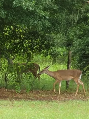 $450,000 | 27167 Popiel Road, Brooksville, FL 34602