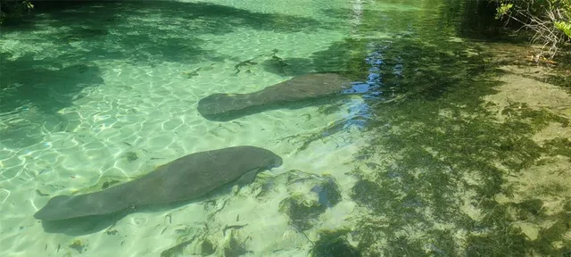 $450,000 | 27167 Popiel Road, Brooksville, FL 34602