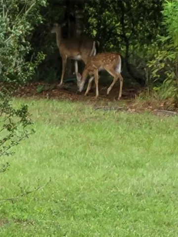 $450,000 | 27167 Popiel Road, Brooksville, FL 34602