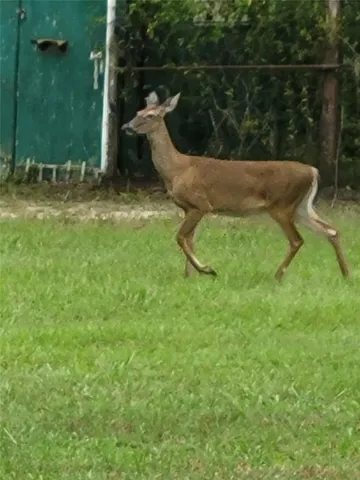 $450,000 | 27167 Popiel Road, Brooksville, FL 34602