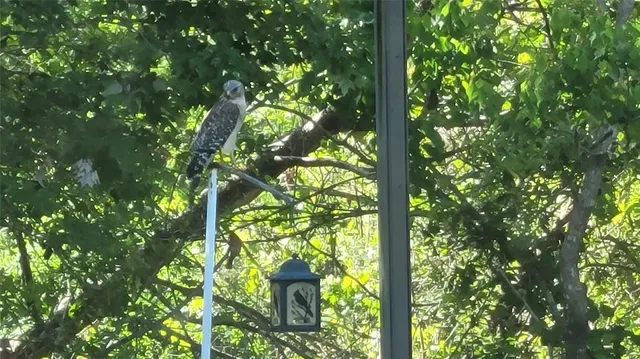 $450,000 | 27167 Popiel Road, Brooksville, FL 34602