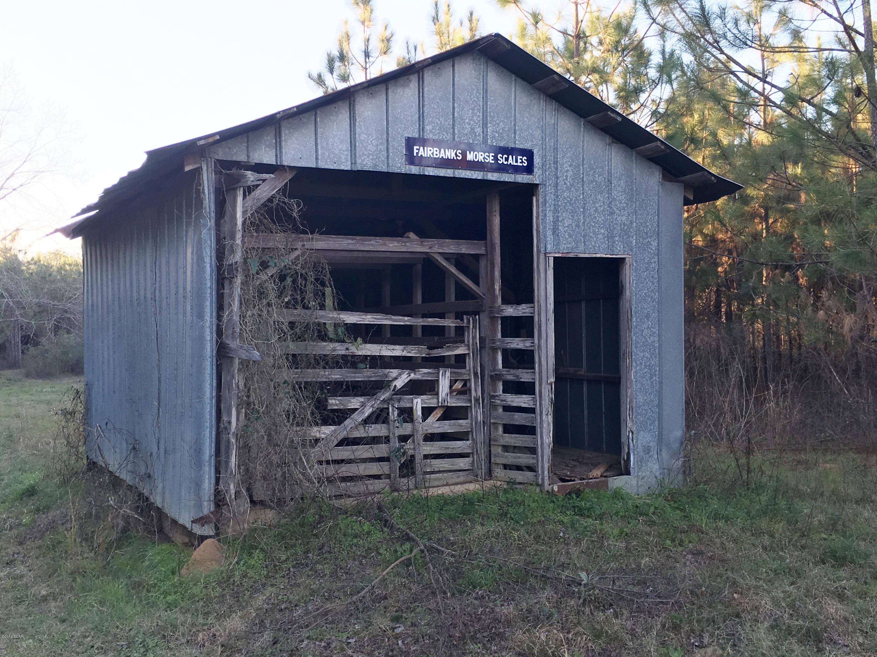 1979 Mutual Road Cottondale, FL 32431 - Photo 8 of 45
