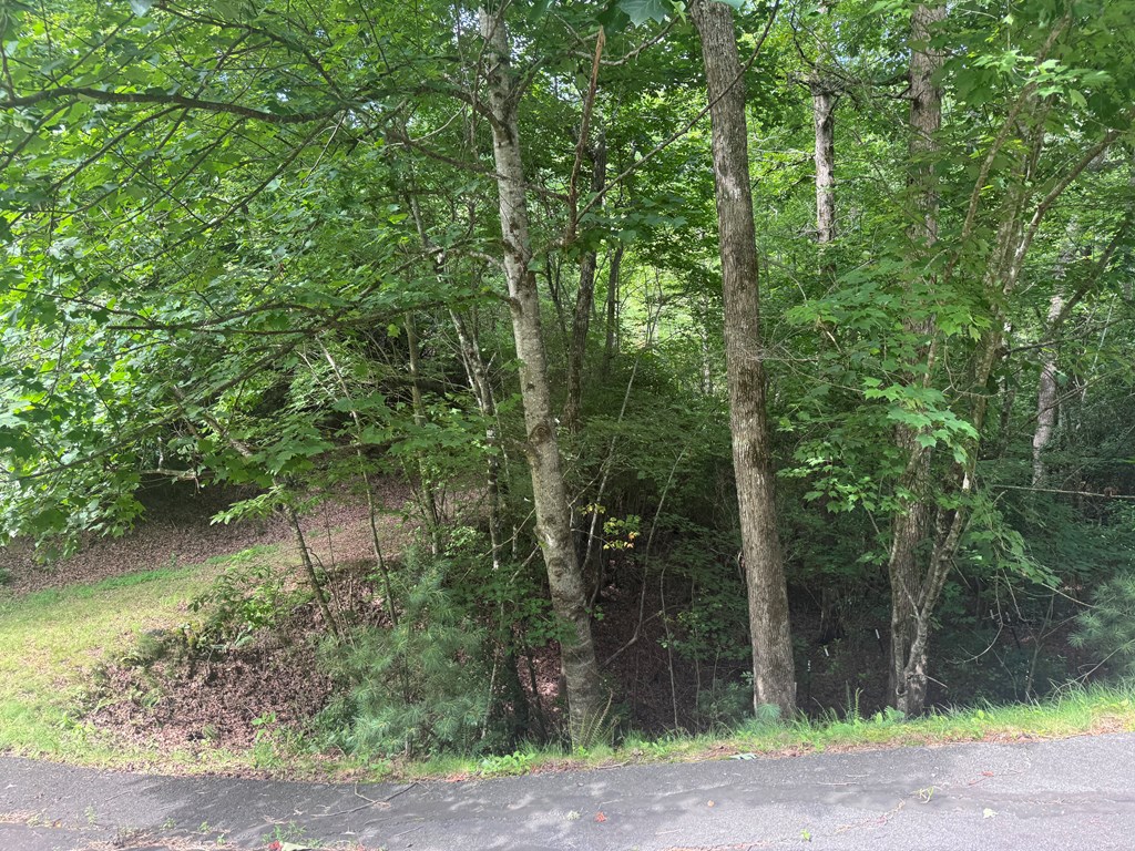 39 Fiddlers Way Brasstown, NC 28902 - Photo 6 of 7