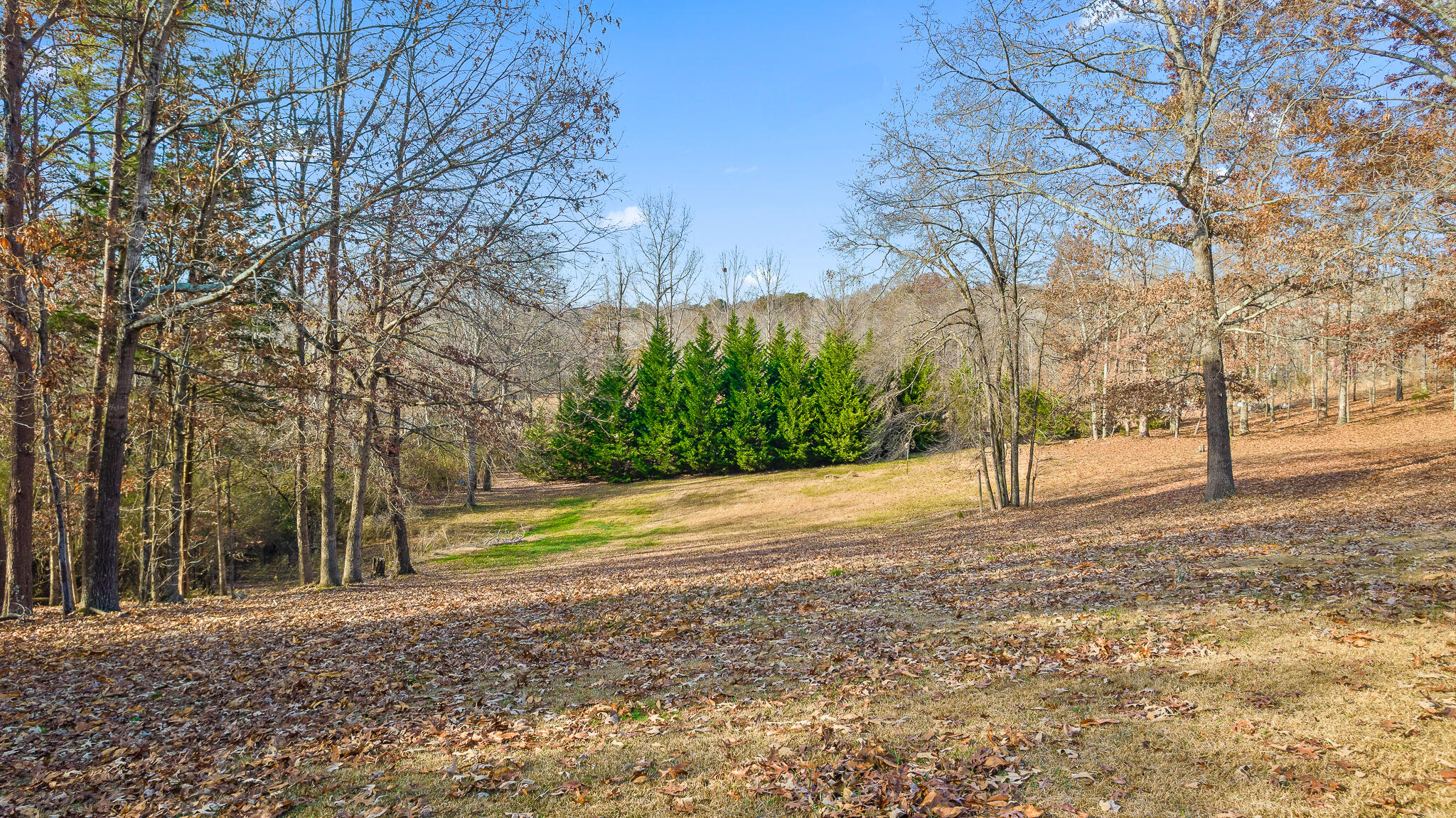 10529 Dodd Cemetery Road Soddy Daisy, TN 37379 - Photo 38 of 44 Dodd-7
