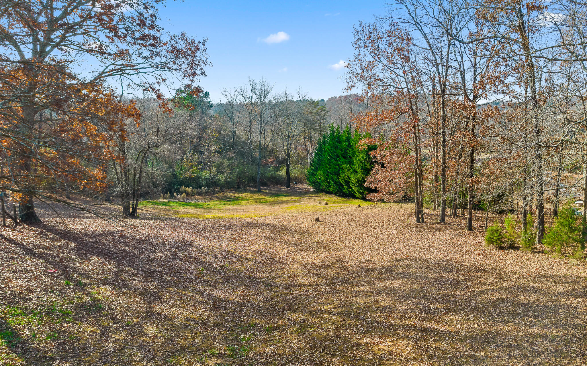 10529 Dodd Cemetery Road Soddy Daisy, TN 37379 - Photo 41 of 44 Dodd-11