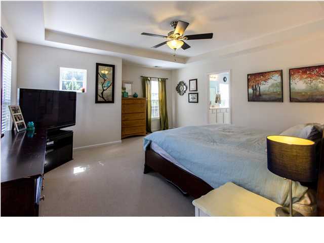 307 Tidal Rice Court Charleston, SC 29492 - Photo 16 of 22 Additional Photo