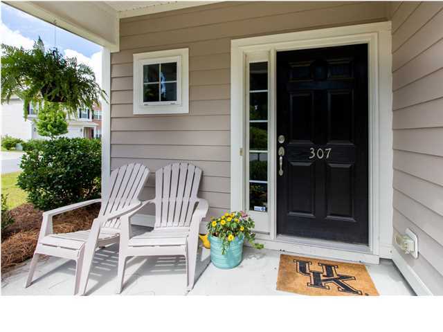 307 Tidal Rice Court Charleston, SC 29492 - Photo 3 of 22 Additional Photo