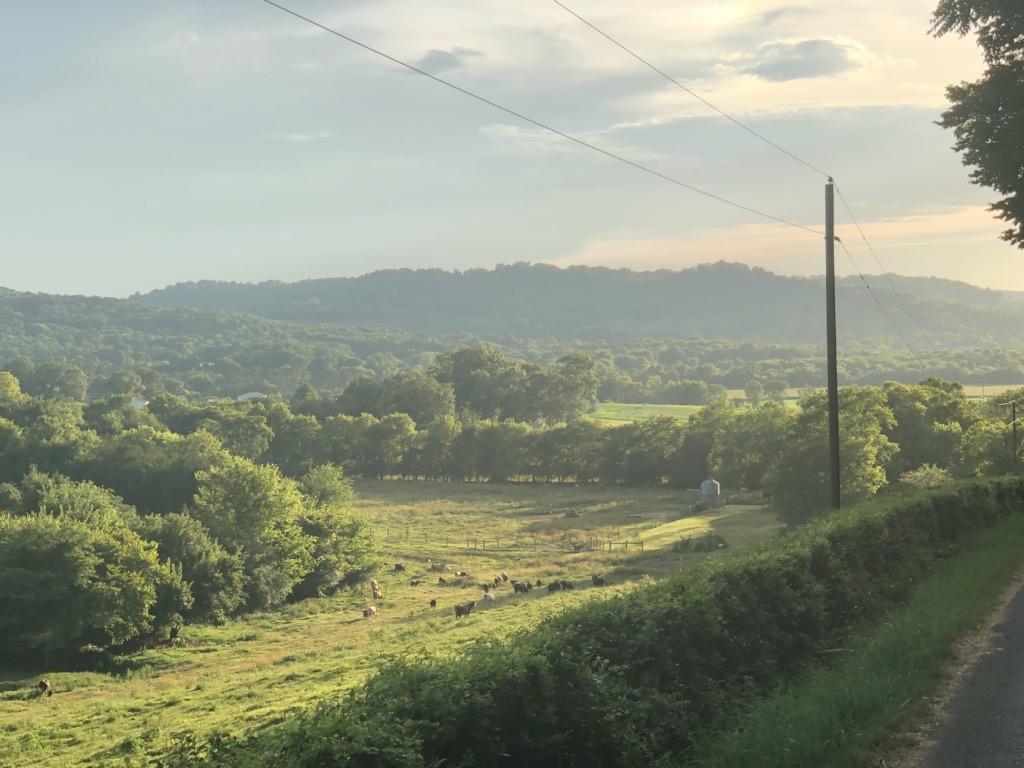 2720 Toll Gate Road Petersburg, TN 37144 - Photo 21 of 22 Views are amazing!
