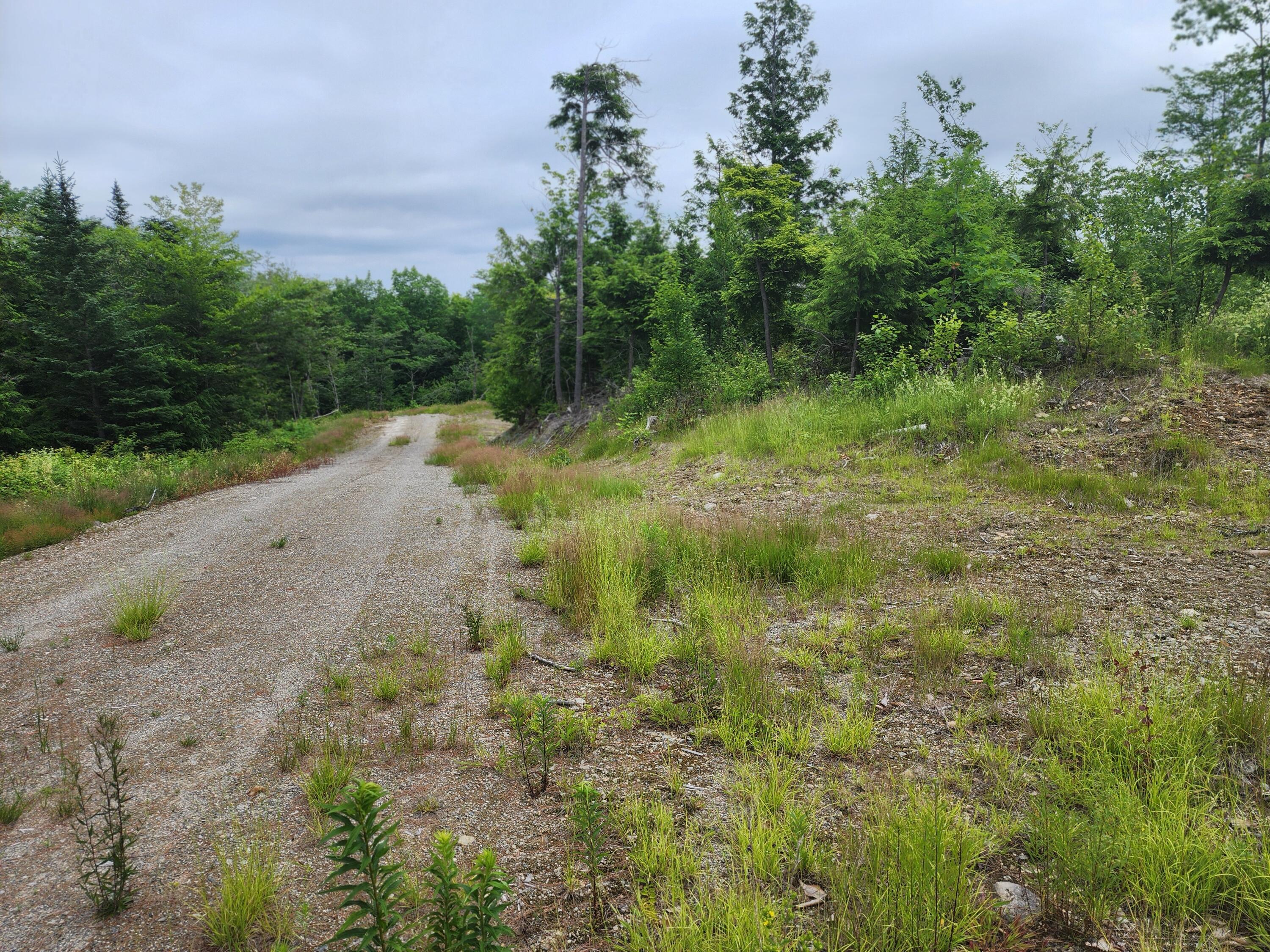 213 Moose Hl Road Ellsworth, ME 04605 - Photo 23 of 34 20250701_114219