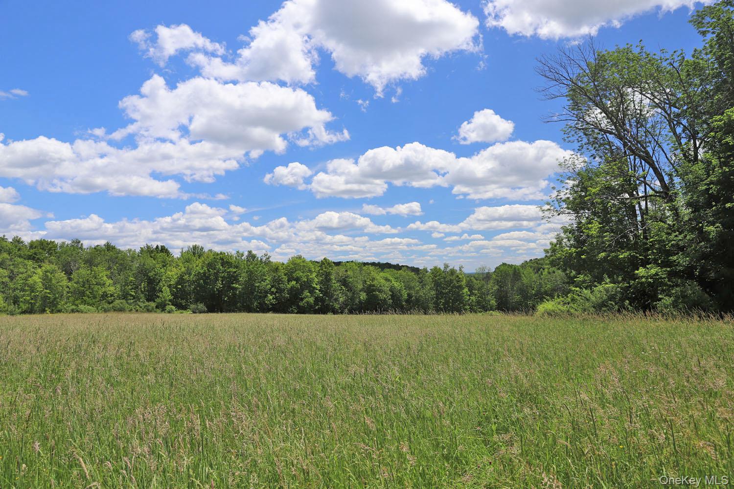 Dietz Road Callicoon Center, NY 12724 - Photo 24 of 24 Meadow to treeline
