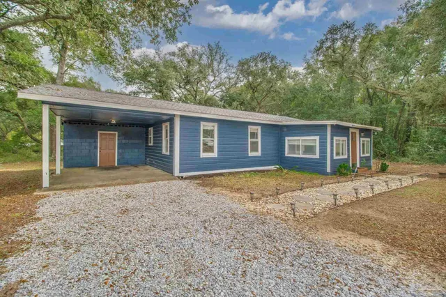 a view of a yard with plants and a large tree