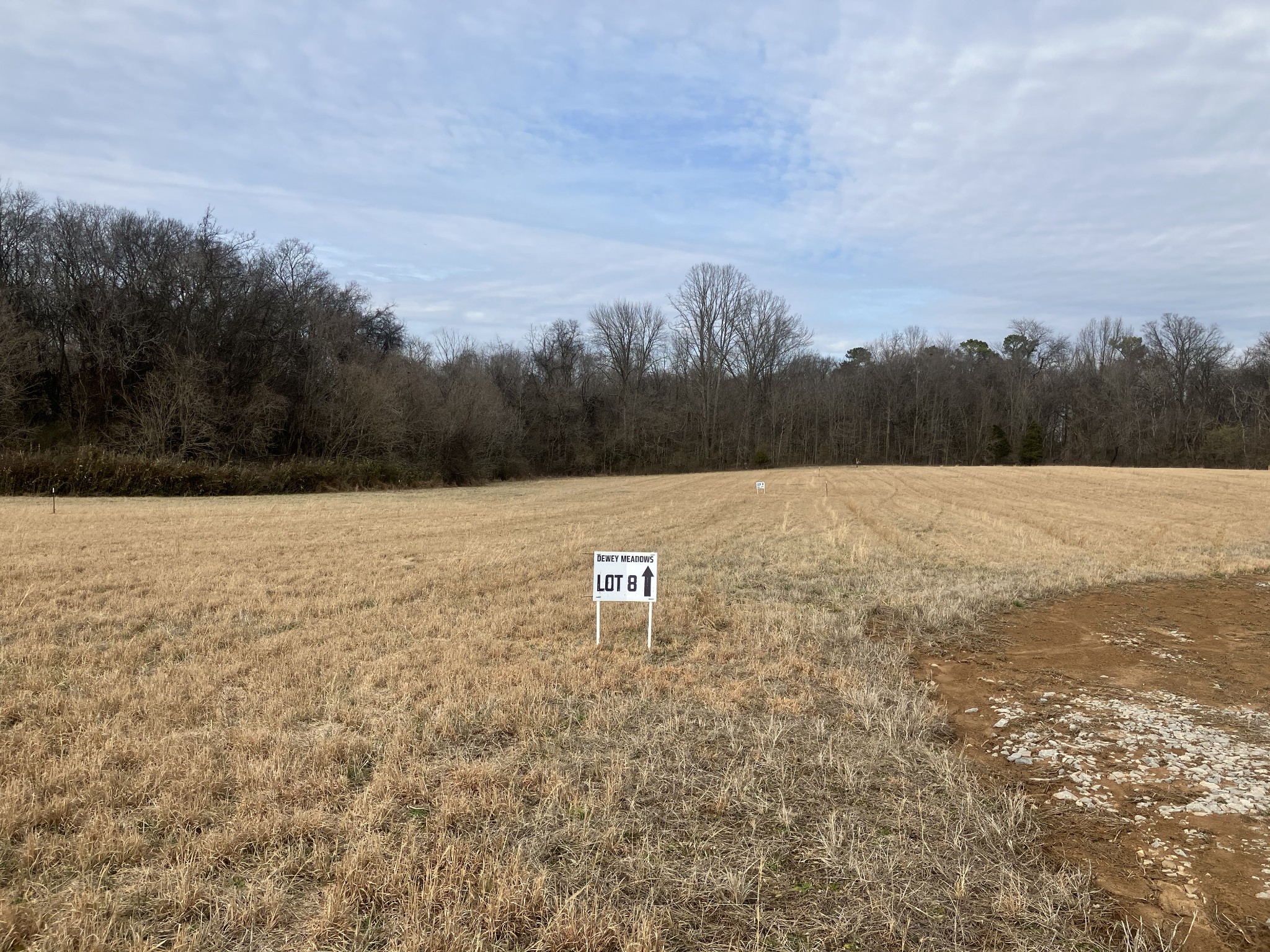 8 Southport Road Mount Pleasant, TN 38474 - Photo 2 of 7 a view of a green field with trees in the background