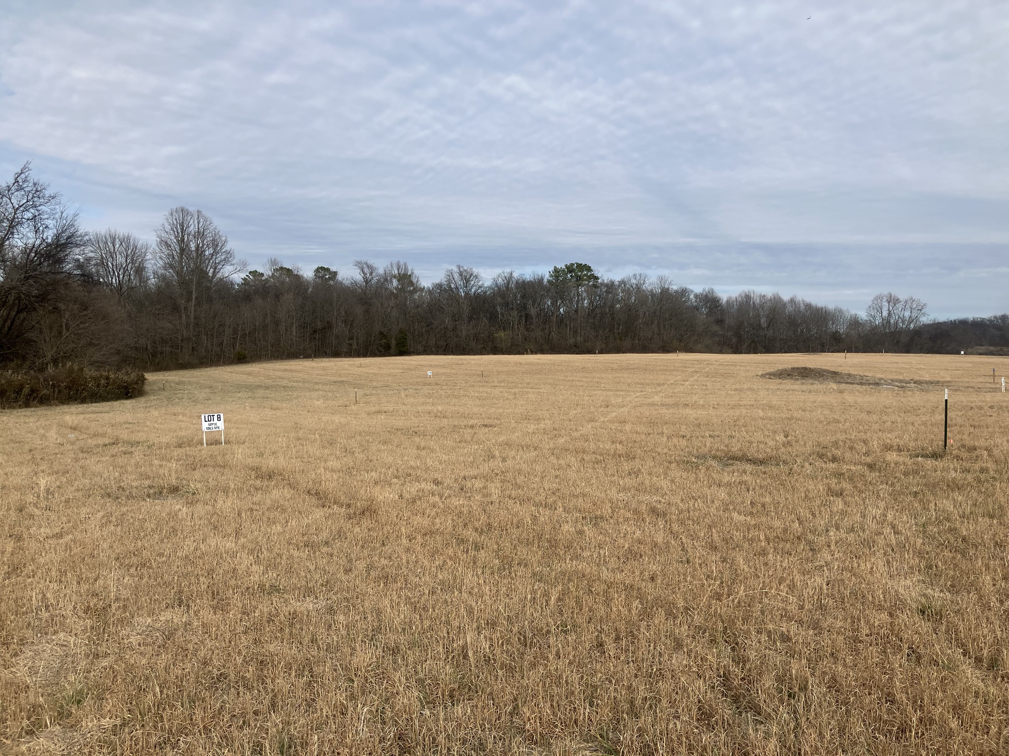 8 Southport Road Mount Pleasant, TN 38474 - Photo 4 of 7 a view of an ocean and beach