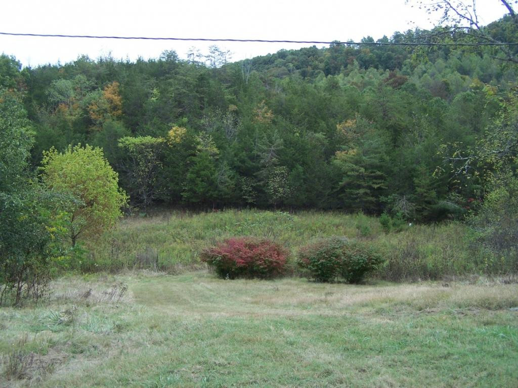 841 Gravely Valley Road Eidson, TN 37731 - Photo 3 of 7 Photo 3