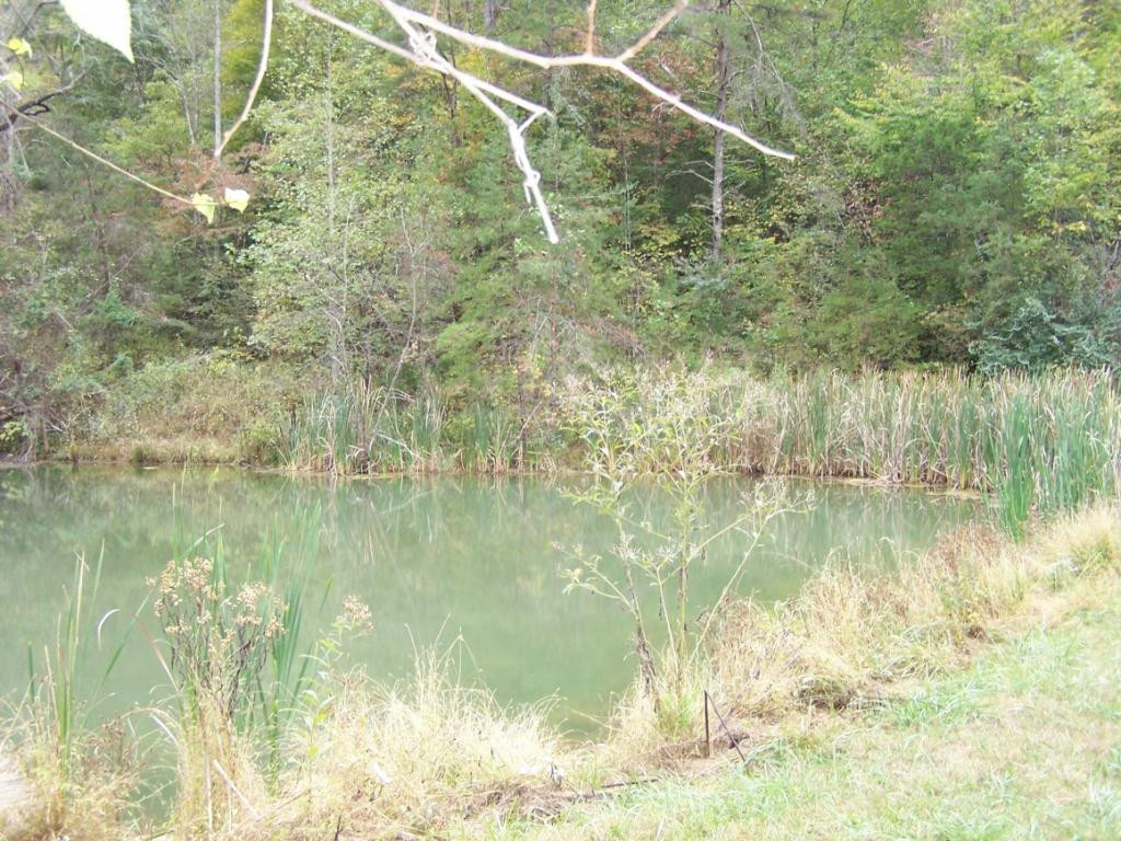 841 Gravely Valley Road Eidson, TN 37731 - Photo 4 of 7 Photo 4