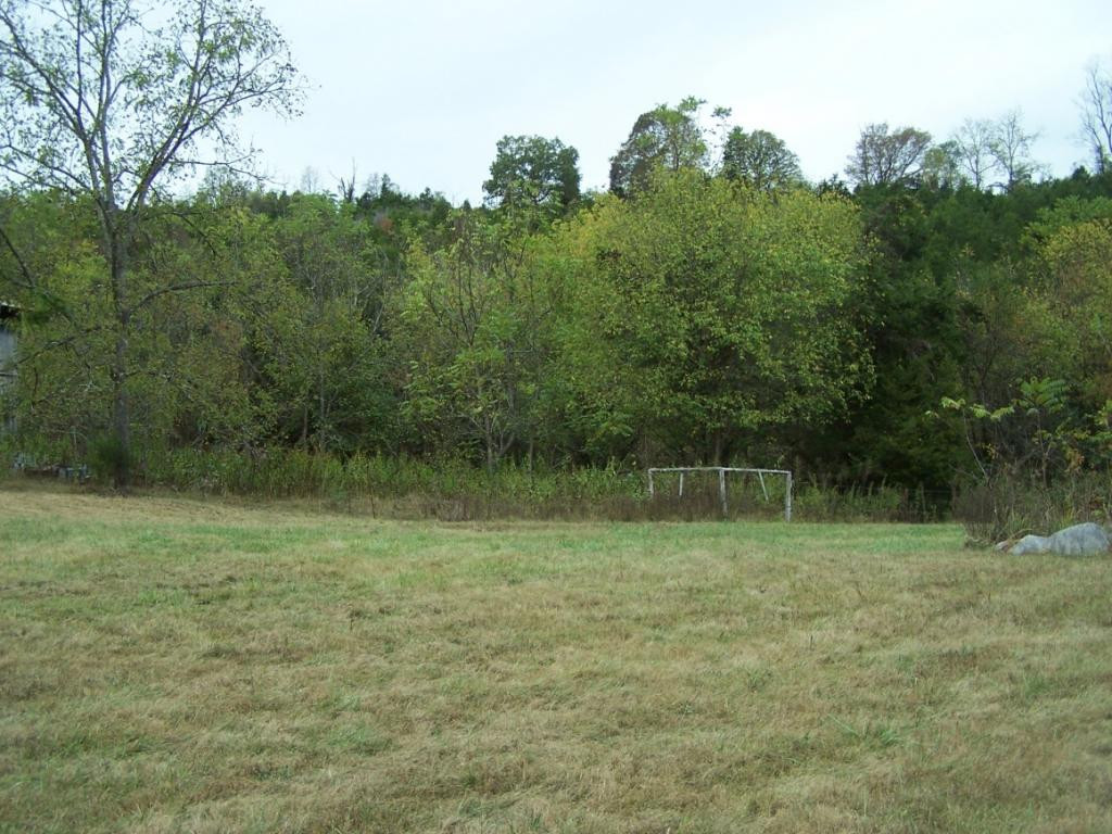 841 Gravely Valley Road Eidson, TN 37731 - Photo 5 of 7 Photo 5