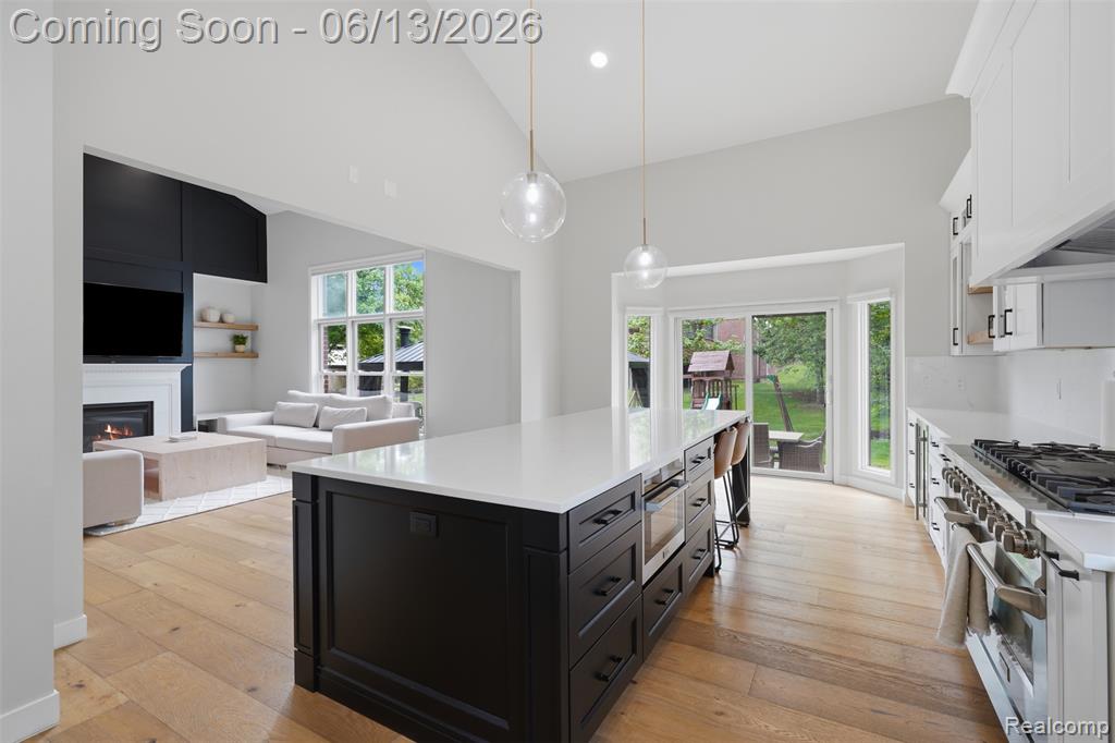 41920 Wolfe Pass Novi, MI 48377 - Photo 20 of 77