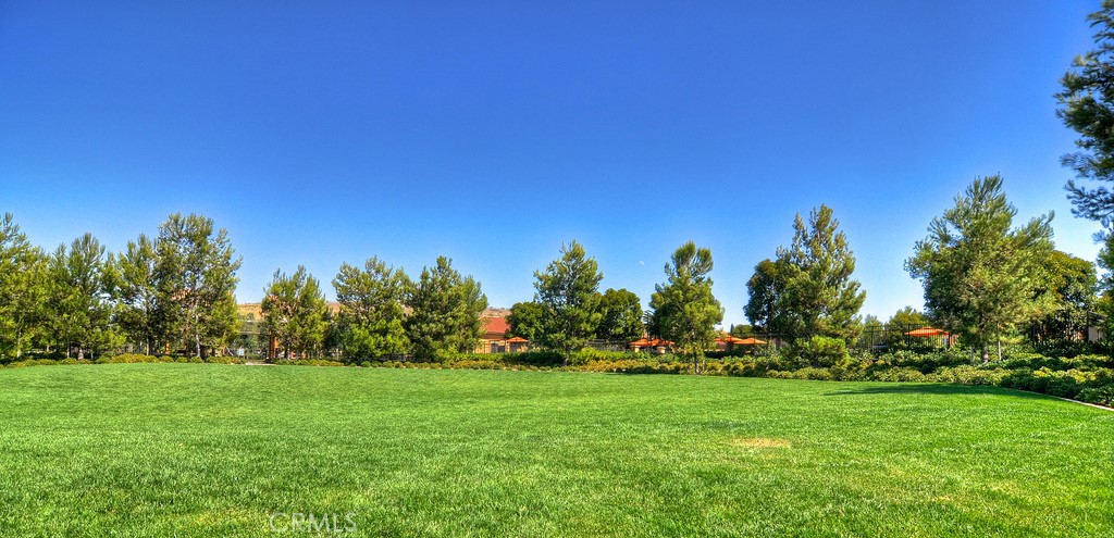 75 Bianco Irvine, CA 92618 - Photo 18 of 37 a view of yard with swimming pool and trees in the background