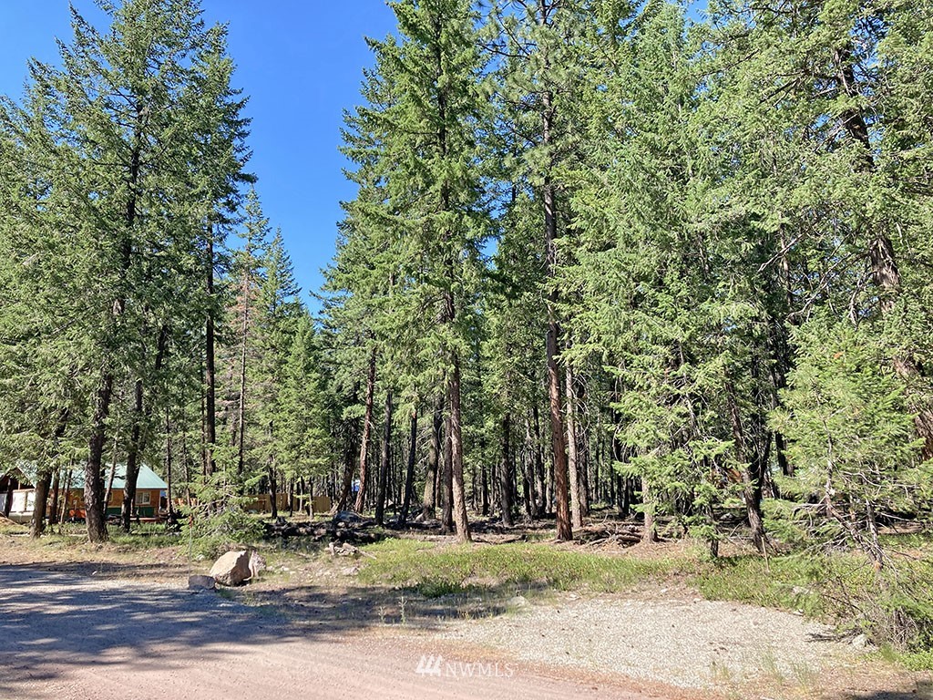 26 & 27 On Moate Road Mazama, WA 98833 - Photo 1 of 12 Gallery Image 1