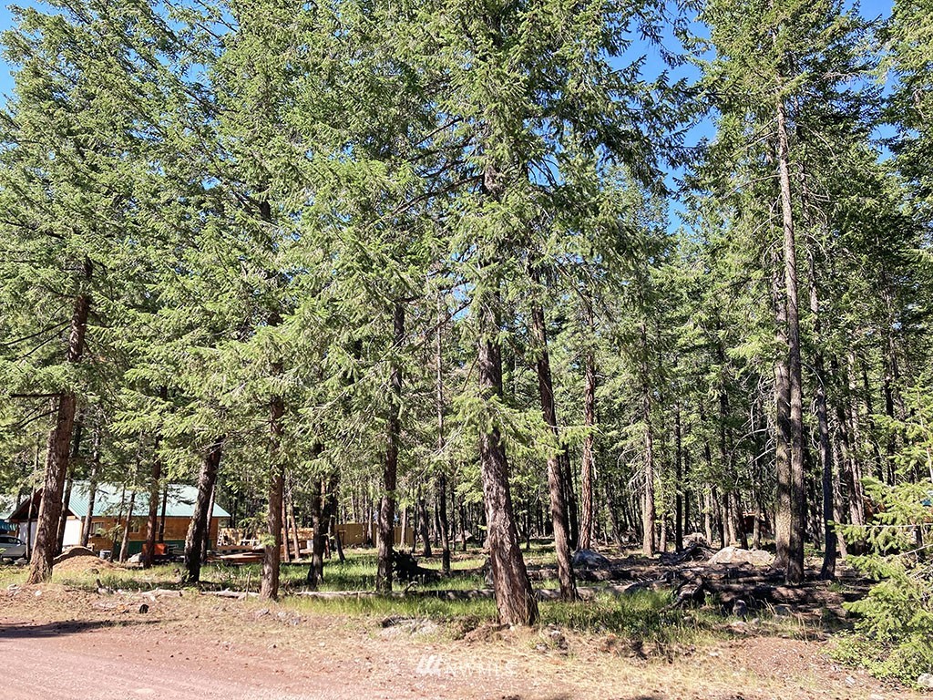 26 & 27 On Moate Road Mazama, WA 98833 - Photo 3 of 12 Gallery Image 3